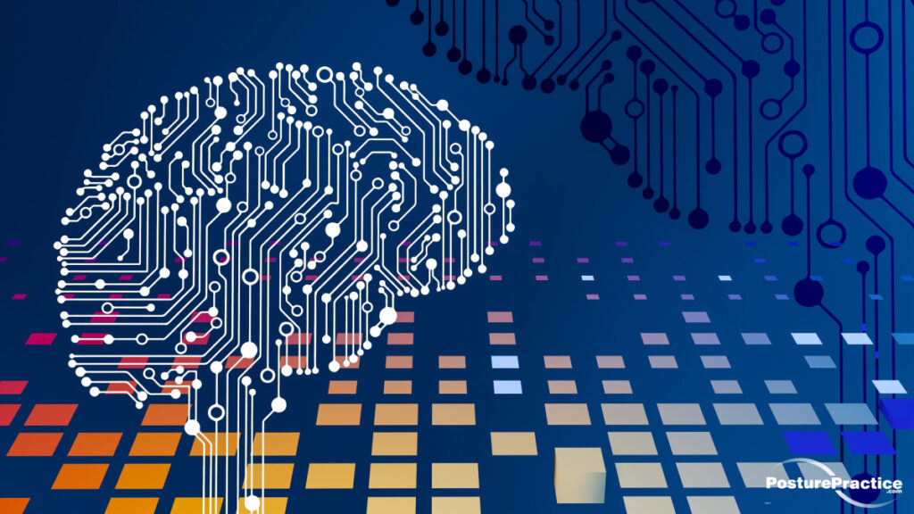 The Hidden System Running Your Brain